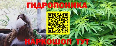 гидропоника Гусиноозёрск