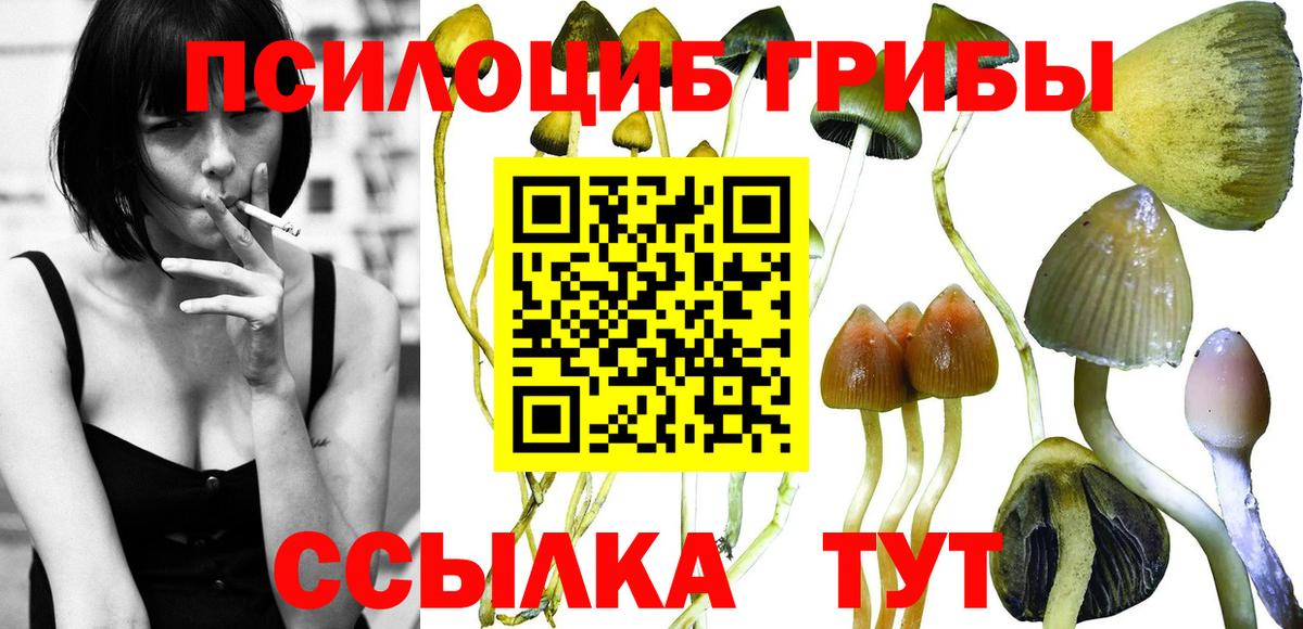 Псилоцибиновые грибы GOLDEN TEACHER  где купить наркотик  Муравленко  Вход с VPN 
